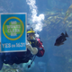 A diver at the Seattle Aquarium during an event to announce the aquarium’s endorsement of Initiative 1631.